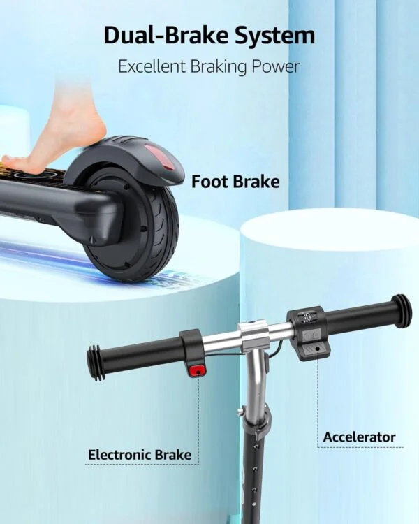 Dual Brake System