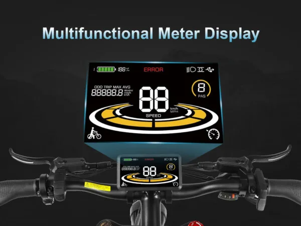 Multifunctional Meter Display