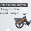 Engwe LE20 Electric Bicycle Dynamic Cargo E-Bike